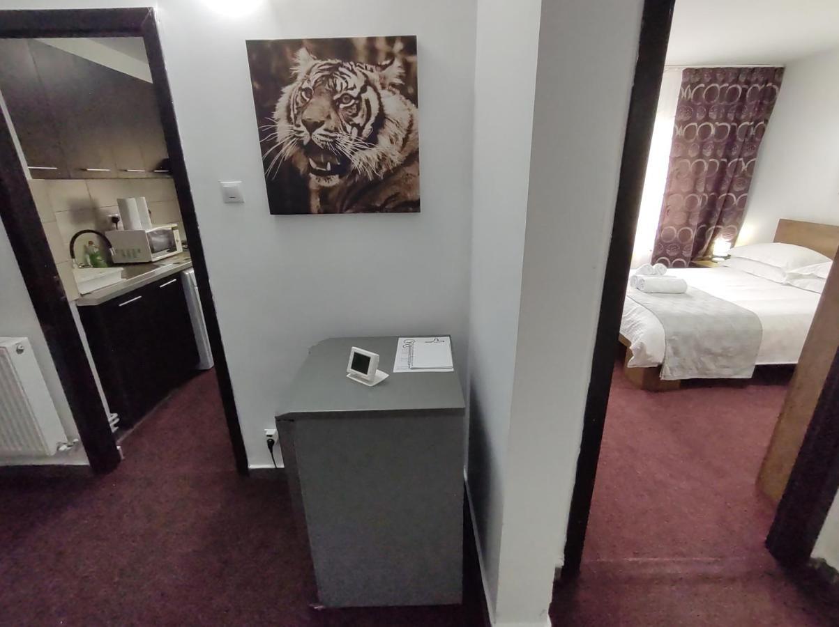 Creative Apartment Baia Mare Ngoại thất bức ảnh